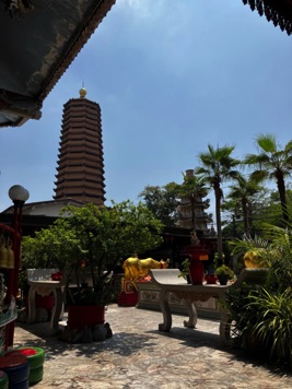 WhatsApp Image 2026-03-14 at 12.23.49